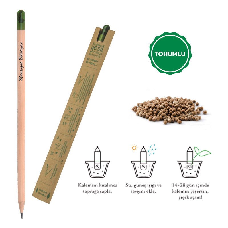 Toptan Promosyon 569 Ahşap Tohumlu Naturel Kurşun Kalem Modelleri
