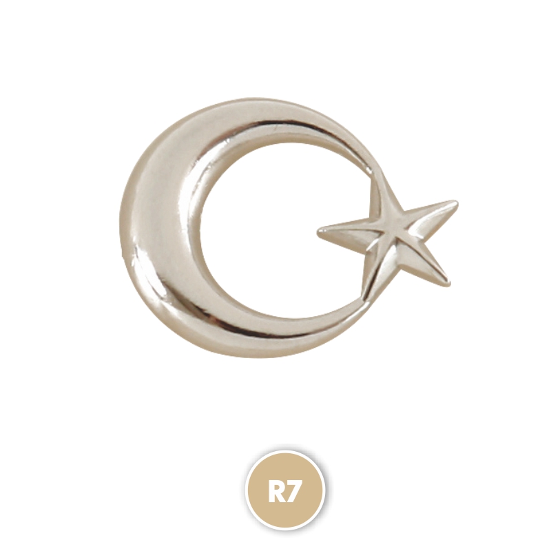 Ucuz Toptan Promosyon R6 Silver Rozet Modeli - 2