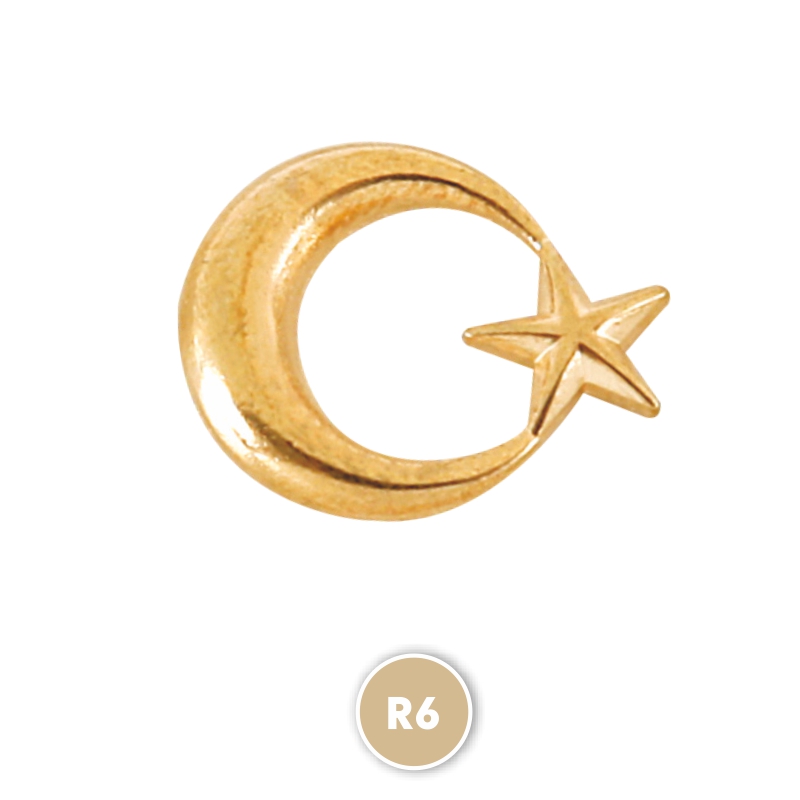 R6 Silver Rozet - Sadıç Promosyon